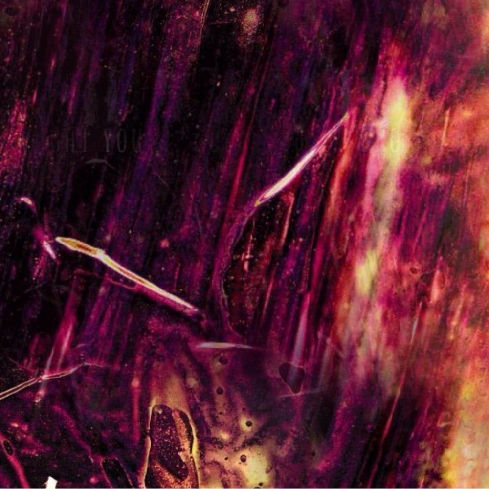 Meet your Posher, Harlow